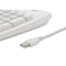 Kensington Keyboard. Antimicrobial. White K64406US - alternate 3