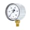 Pic Gauges 2 1/2 in Dial, 1/4 in NPT Lower Location, Chrome Plated Steel Case Material LP1-254-100 - alternate 1