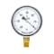 Pic Gauges 2 1/2 in Dial, 1/4 in NPT Lower Location, Chrome Plated Steel Case Material LP1-254-60V - alternate 3