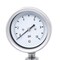 Pic Gauges Low Pressure Gauge, 2.5", 0-10psi, 1/4"LM, 2 1/2 in Dial, 1/4 in NPT Lower Location LP1-SB-254-10PSI - alternate 1