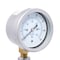 Pic Gauges 2 1/2 in Dial, 1/4 in NPT Lower Location, Stainless Steel Case Material LP1-SB-254-35X60 - alternate 2