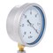 Pic Gauges 4 in Dial, 1/4 in NPT Lower Location, Stainless Steel Case Material LP1-SB-404-30V - alternate 2