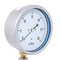 Pic Gauges 4 in Dial, 1/4 in NPT Lower Location, Stainless Steel Case Material LP1-SB-404-30 - alternate 3