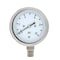 Pic Gauges Low Pressure Gauge, 2.5", 0-10psi, 1/4"LM, 2 1/2 in Dial, 1/4 in NPT Lower Location LP1-SS-254-10PSI - alternate 3