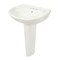 Toto 4" Mount, Supreme, 4 Center Lav, Ped W Cefiontect G, Colonial White LPT241.4G#11 - alternate 2