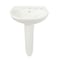 Toto 8" Mount, Supreme, 8 Center Lav, Ped W Cefiontect G, Colonial White LPT241.8G#11 - alternate 1