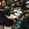 Makita 10 in L Cordless Battery-Powered Chainsaw, 18 V, 3.0/4.0/5.0Ah, Bare Tool XCU06Z - alternate 3