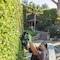 Makita Cordless Battery-Powered Hedge Trimmer Kit, Double-Sided 24 in L Blade, Cordless, 18 V XHU07T - alternate 6