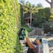 Makita Cordless Battery-Powered Hedge Trimmer, Double-Sided 24 in L Blade, Cordless, 18 V XHU07Z - alternate 2