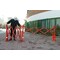 Multi-Gate Multi-Gate Expandable Plastic Barricade MULTI-GATE - alternate 6
