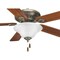 Progress Lighting Fan Light Kit, Three-Light P2628-01WB - alternate 8
