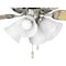 Progress Lighting Fan Light Kit, Four-Light P2610-09WB - alternate 1