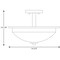 Progress Lighting Replay Two-Light Semi-Flush Convertible P3424-09 - alternate 4