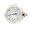 Pic Gauges 2 1/2 in Dial, 1/4 in NPT Male Center Back Location, Stainless Steel Case Material PRO-203L-254CE - alternate 1