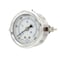 Pic Gauges 2 1/2 in Dial, 1/4 in NPT Male Center Back Location, Stainless Steel Case Material PRO-203L-254CH - alternate 1