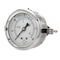 Pic Gauges 2 1/2 in Dial, 1/4 in NPT Male Center Back Location, Stainless Steel Case Material PRO-203L-254C - alternate 1