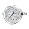 Pic Gauges 2 1/2 in Dial, 1/4 in NPT Male Center Back Location, Stainless Steel Case Material PRO-203L-254T - alternate 1