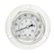 Pic Gauges 2 1/2 in Dial, 1/4 in NPT Male Center Back Location, Stainless Steel Case Material PRO-204L-254CF - alternate 2