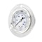 Pic Gauges 2 1/2 in Dial, 1/4 in NPT Male Center Back Location, Stainless Steel Case Material PRO-204L-254Q - alternate 1