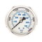 Pic Gauges Industrial Pressure Gauge, 0 to 10,000 psi, 2 1/2 in Dial, 1/4 in NPT, Center Back Location PRO-302L-254U-01 - alternate 1