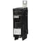 Siemens Miniature Circuit Breaker, BL Series, 60A, 1 Pole, 120/240V AC, 10kA at 120/240V AC B160 - alternate 2