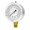 Pic Gauges 2 1/2 in Dial, 1/4 in NPT Male Lower Location, Stainless Steel Case Material S201L-254B - alternate 1