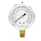 Pic Gauges 2 1/2 in Dial, 1/4 in NPT Male Lower Location, Stainless Steel Case Material S201L-254B - alternate 4