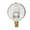 Pic Gauges 2 1/2 in Dial, 1/4 in NPT Male Lower Location, Stainless Steel Case Material S201L-254B - alternate 2