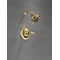 Delta Faucet, Shower Only Tub / Shower Faucet, Polished Brass T13220-PBSHC - alternate 4