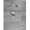 Delta Faucet, Shower Only Tub / Shower Faucet, Stainless T13220-SS - alternate 3