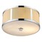 Acclaim Lighting Butler 2-Light Convertible Pendant TP7599 - alternate 4