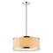 Acclaim Lighting Butler 2-Light Convertible Pendant TP7599 - alternate 2
