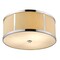 Acclaim Lighting Butler 3-Light Convertible Pendant TP7997 - alternate 3