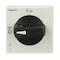 Schneider Electric Disconnect switch, TeSys VLS, protruding rotary handle, hole mounting, 65x65 mm, black handle, 5 mm shaft, defeatable VLSH2H5BD - alternate 2