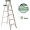 Louisville 6 ft Aluminum Stepladder, 225 lb Capacity AS4006 - alternate 10