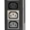 Tripp Lite PDU, Rack Mounted, (42) C13, (12) C19, 2.5 ft. PDU3V20D354A - alternate 6