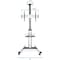Mount-It Mount-It! Heavy Duty Mobile TV Cart, MI-875 - 110 lb Capacity - 4 Casters MI-875 - alternate 4