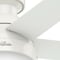 Hunter Decorative Ceiling Fan, Low Pro, 46 in Blade Dia, 5 Blades, 3 Speeds, 120, Fresh White 59269 - alternate 7