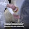 3M Painters Masking Tape, 48 mm W x 55 m L, 7.6 mil Thick, Tan, Rubber Adhesive, 24 PK 2693 - alternate 10