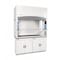 Protector Echo Filtered Fume Hood, 230V, 66.20x60" 181510221 - alternate 3