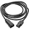 Tripp Lite Power Cord, C14 to C13, 10A, 18AWG, 10ft P004-010 - alternate 2