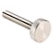 Zoro Select Thumb Screw, 1/4"-20, Round, Plain 18-8 Stainless Steel, 7/32 in Head Ht, 1 1/2 in L, 2 PK Z0687 - alternate 1