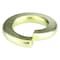 Zoro Select Split Lock Washer, For Screw Size 1/2 in Steel, Zinc Yellow Finish, 25 PK U37060.050.0001 - alternate 1