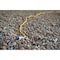 Southwire SJEOOW Extension Cord, 14 AWG, Outdoor, 14/3, 1 Outlets, 5-15R, Yellow, 5-15P, 50 ft 1488SW0002 - alternate 8