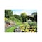 Hoffmaster 10" x 14" English Garden Paper Placemats, PK1000 311103 - alternate 1