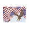 Hoffmaster 10" x 14" Patriotic Barn Paper Placemats, PK1000 311109 - alternate 2