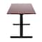 Luxor 48 in  3-Stage Dual Motor Electric Stand Up Desk - Black / Dark Walnut STANDE-48-BK/DW - alternate 6