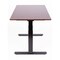 Luxor 48 in  3-Stage Dual Motor Electric Stand Up Desk STANDE-60-BK/DW - alternate 8