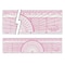 Westcott Protractors, 6" Engineers' Protractor Ruler W-8 - alternate 2