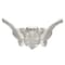 Eisco Scientific Eisco Labs Female Pelvis / Pelvic Skeleton Bone Model AMCHA589AS - alternate 3